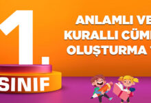 ANLAMLI VE KURALLI CÜMLE OLUŞTURMA 17