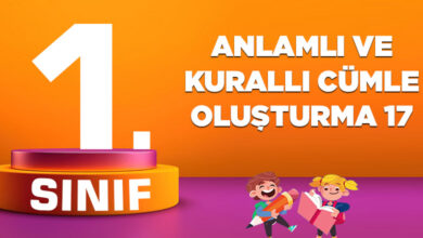 ANLAMLI VE KURALLI CÜMLE OLUŞTURMA 17