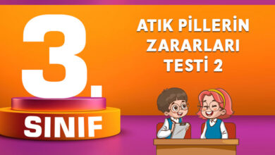 Atık Pillerin Zararları Testi 2