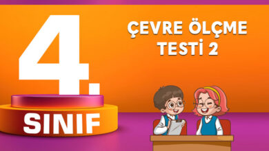 Çevre Ölçme Testi 2