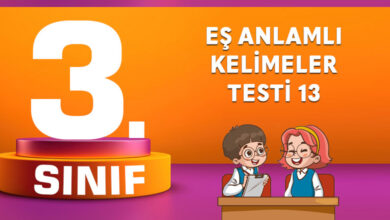 EŞ ANLAMLI KELİMELER TESTİ 13