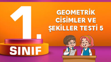 Geometrik-Cisimler-ve-Şekiller-Testi-5