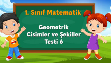 Geometrik Cisimler ve Şekiller Testi 6