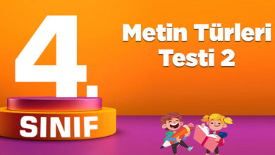 Metin Türleri Testi 2