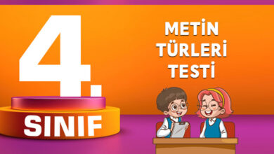 Metin Türleri Testi