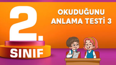 OKUDUĞUNU ANLAMA TESTİ 3