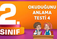 OKUDUĞUNU ANLAMA TESTİ 4