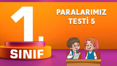 Paralarımız Testi 5