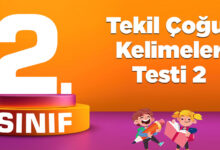 Tekil Çoğul Kelimeler Testi 2