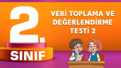 Veri Toplama ve Değerlendirme Testi 2