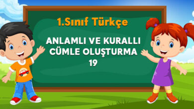 1. SINIF ANLAMLI VE KURALLI CÜMLE OLUŞTURMA 19