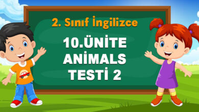 10.ÜNİTE-ANİMALS