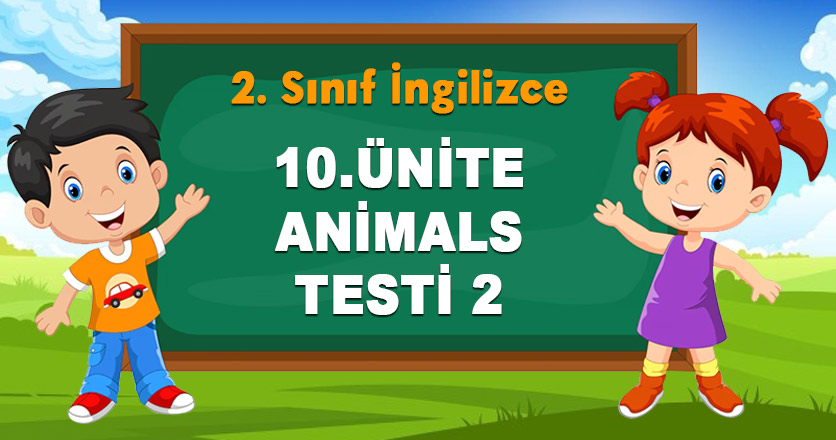 10.ÜNİTE-ANİMALS