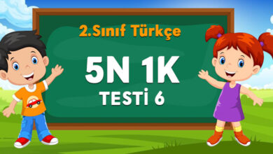 2. SINIF 5N 1K TESTİ 6