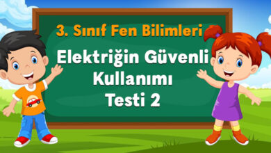 Elektriğin Güvenli Kullanımı Testi 2