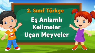 Eş Anlamlı Kelimeler Uçan Meyveler