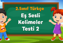 Eş Sesli Kelimeler Testi 2