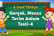 Gerçek Mecaz Terim Anlam Testi-4