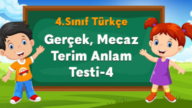 Gerçek Mecaz Terim Anlam Testi-4