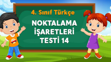 NOKTALAMA İŞARETLERİ TESTİ 14