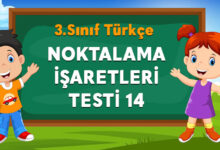 NOKTALAMA İŞARETLERİ TESTİ 14