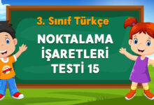 NOKTALAMA İŞARETLERİ TESTİ 15