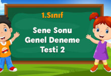 Sene Sonu Genel Deneme Testi 2