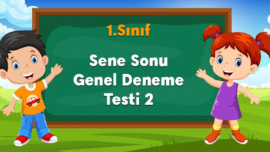 Sene Sonu Genel Deneme Testi 2