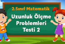 Uzunluk Ölçme Problemleri Testi 2