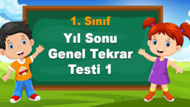 Yıl Sonu Genel Tekrar Testi 1