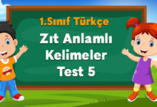 Zıt Anlamlı Kelimeler Test 5