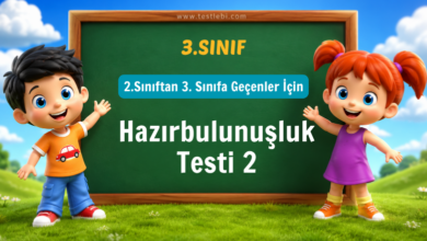 3. Sınıf Hazırbulunuşluk Testi 2