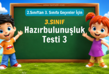 3. Sınıf Hazırbulunuşluk Testi - 3