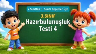 3. Sınıf Hazırbulunuşluk Testi 4