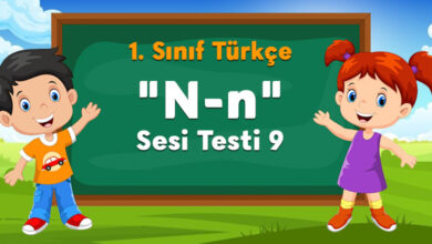 1. Sınıf n Sesi Testi 9