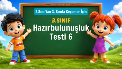 3. Sınıf Hazırbulunuşluk Testi-6