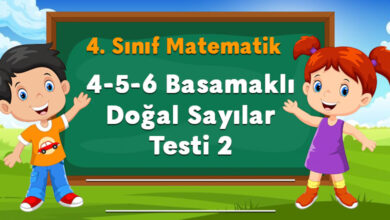 4. Sınıf 4,5,6 Basamaklı Doğal Sayılar