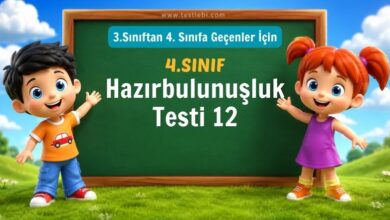 4. Sınıf Hazırbulunuşluk Testi 12