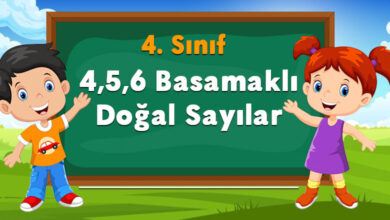 4,5,6 Basamaklı Doğal Sayılar