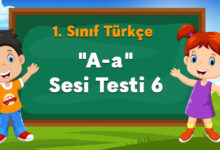 a sesi