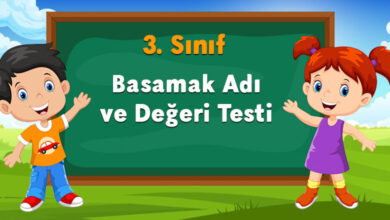 Basamak Adı ve Değeri Testi