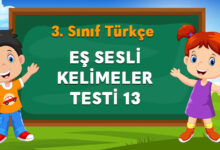 EŞ SESLİ KELİMELER TESTİ 13