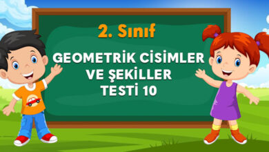 GEOMETRİK CİSİMLER VE ŞEKİLLER TESTİ 10