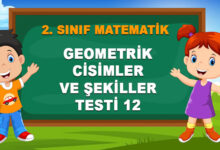 GEOMETRİK CİSİMLER VE ŞEKİLLER TESTİ 12