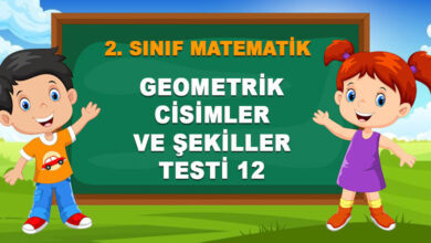 GEOMETRİK CİSİMLER VE ŞEKİLLER TESTİ 12