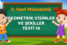 GEOMETRİK CİSİMLER VE ŞEKİLLER TESTİ 14