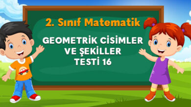 GEOMETRİK CİSİMLER VE ŞEKİLLER TESTİ 16