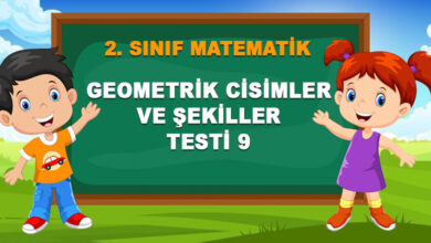 GEOMETRİK CİSİMLER VE ŞEKİLLER TESTİ 9