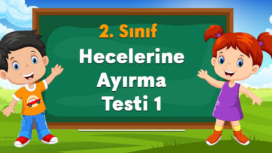 Hecelerine Ayırma Testi 1