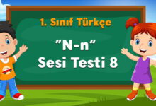N Sesi Testi 8